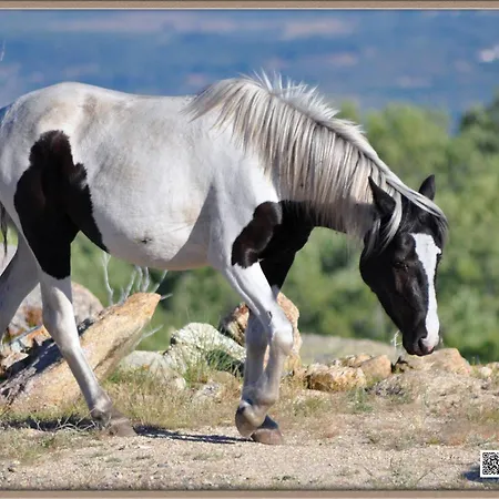 Apartman Mar De Nubes I Entre El Valle Del Jerte Y La Vera