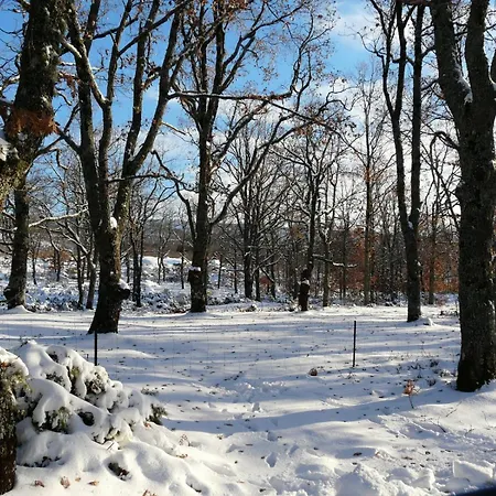 公寓 Mar De Nubes I Entre El Valle Del Jerte Y La Vera