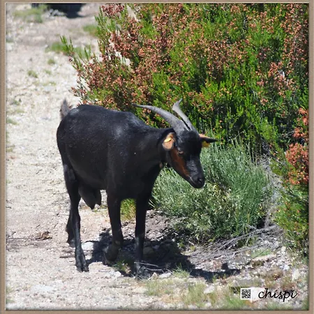 Mar De Nubes I Entre El Valle Del Jerte Y La Vera Piornal