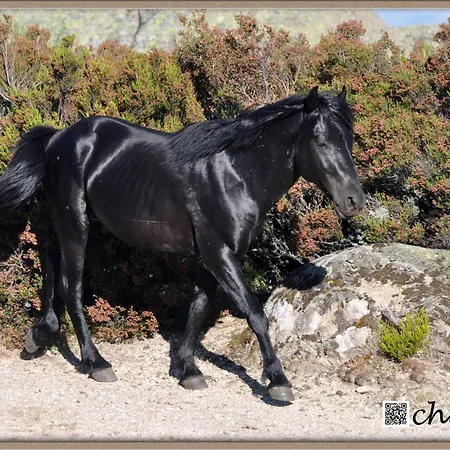 Mar De Nubes I Entre El Valle Del Jerte Y La Vera