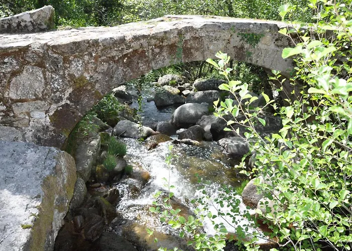Mar De Nubes I Entre El Valle Del Jerte Y La Vera *