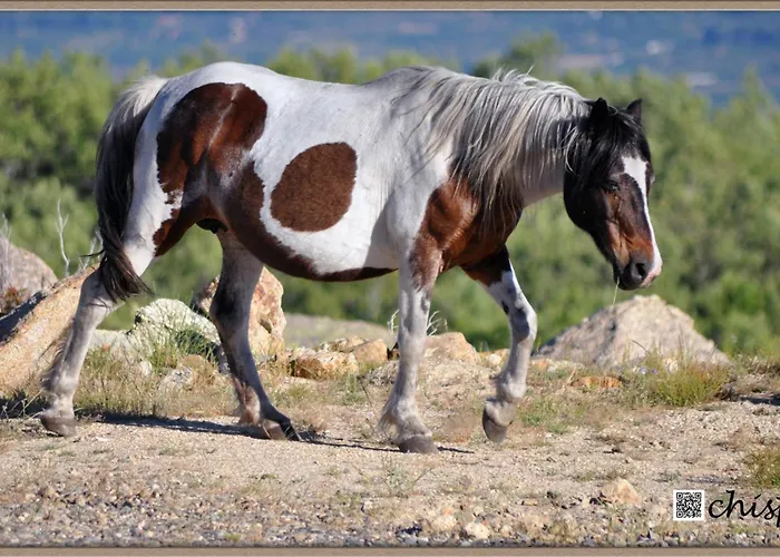 Mar De Nubes I Entre El Valle Del Jerte Y La Vera Appartamento
