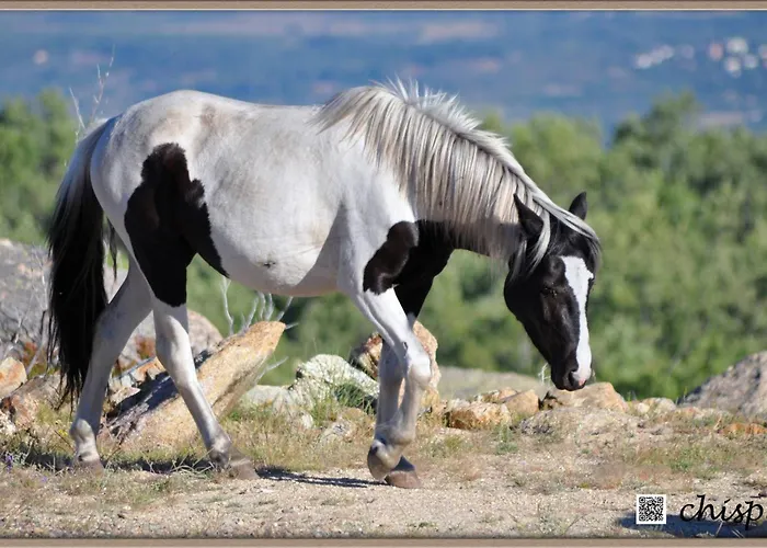 Appartamento Mar De Nubes I Entre El Valle Del Jerte Y La Vera