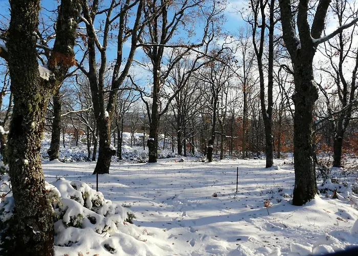 Appartamento Mar De Nubes I Entre El Valle Del Jerte Y La Vera