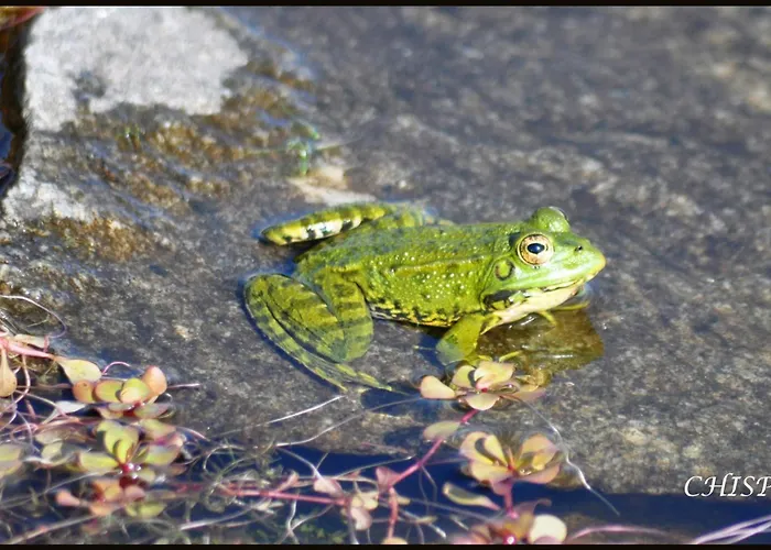 Mar De Nubes I Entre El Valle Del Jerte Y La Vera