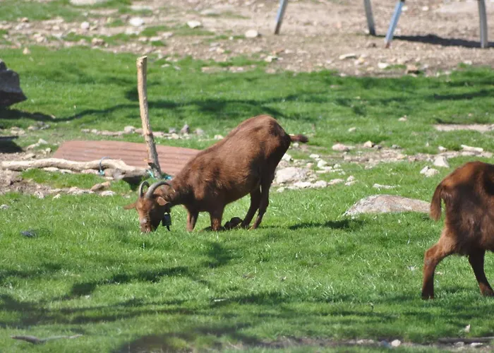 Mar De Nubes I Entre El Valle Del Jerte Y La Vera Piornal