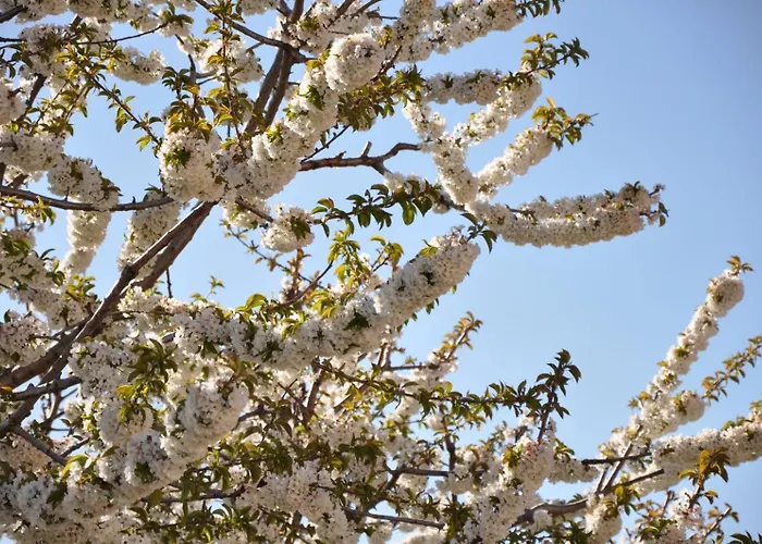 Mar De Nubes I Entre El Valle Del Jerte Y La Vera Appartamento