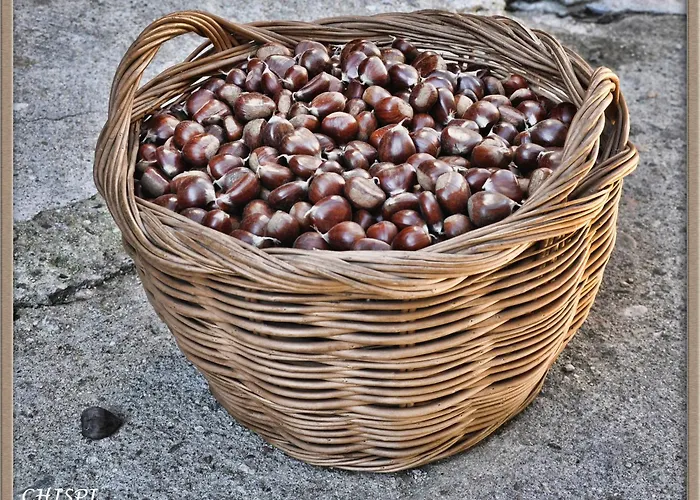 Mar De Nubes I Entre El Valle Del Jerte Y La Vera *
