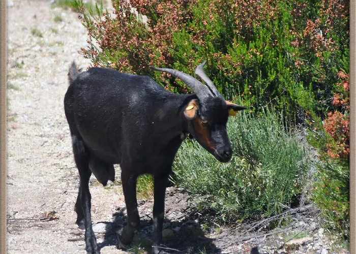 Mar De Nubes I Entre El Valle Del Jerte Y La Vera Piornal