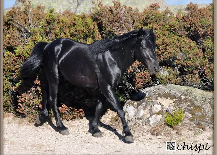 Mar De Nubes I Entre El Valle Del Jerte Y La Vera